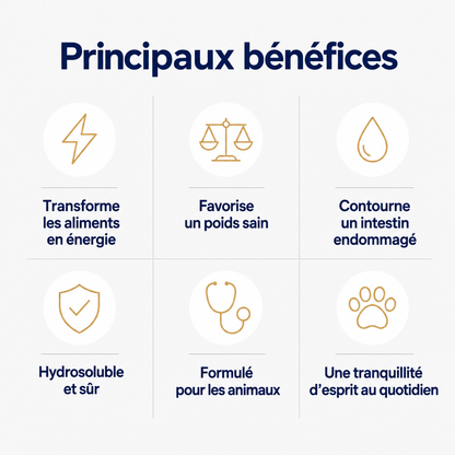Vitalys™ – Gouttes de vitamine B12 pour chat