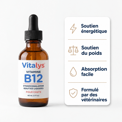 Vitalys™ – Gouttes de vitamine B12 pour chat